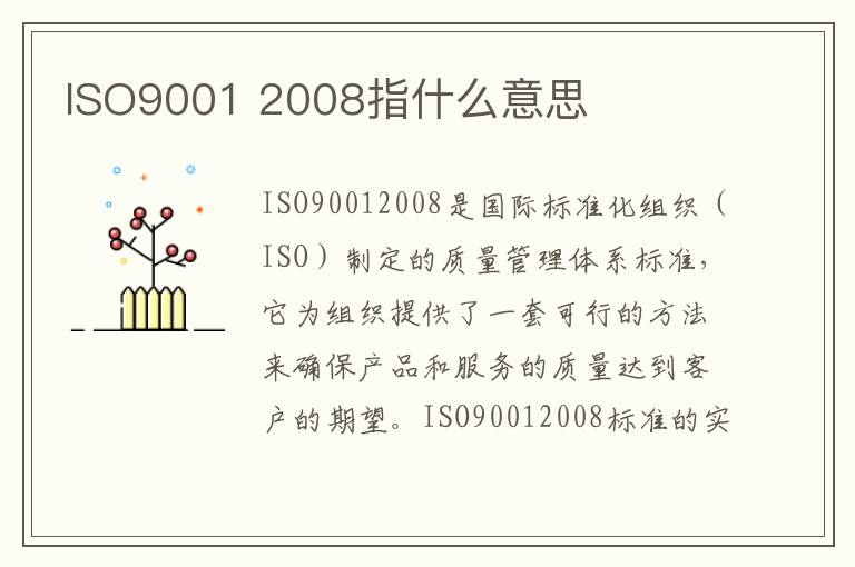 ISO9001 2008指什么意思