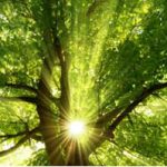 江苏省现场督办中央督察组下沉发现的问题